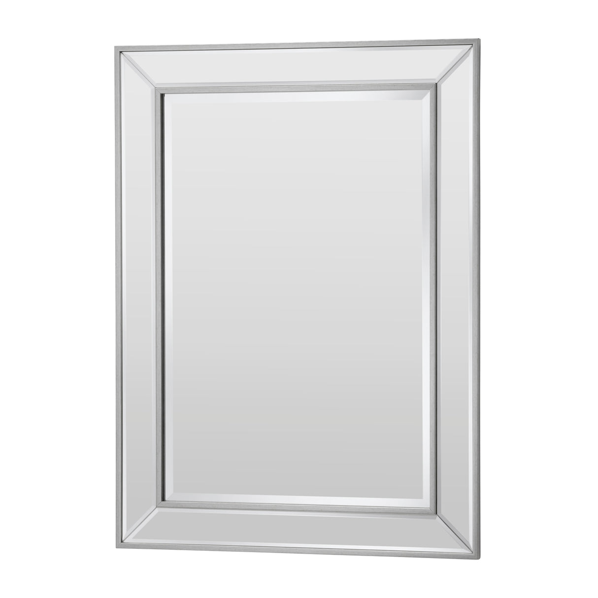Contemporary Silvery Champagne Mirror