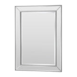 Contemporary Silvery Champagne Mirror